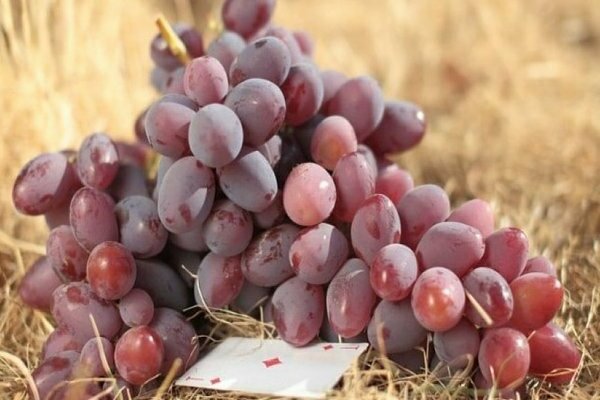 Covering grape varieties