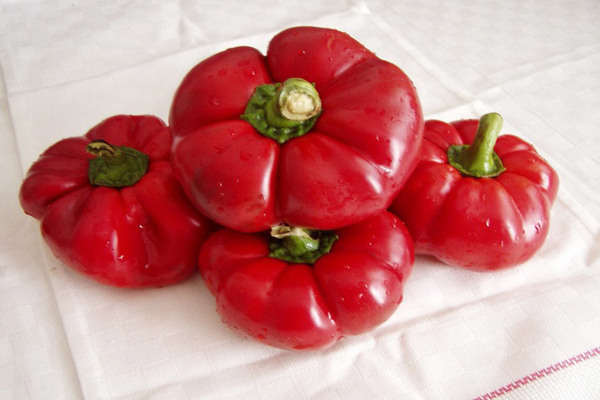 Pepper Gogoshary φωτογραφία, περιγραφή του υποείδους