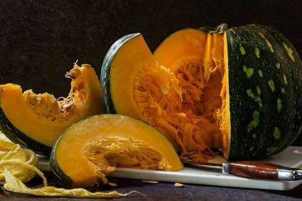 Seedlings of pumpkins, zucchini: information about the benefits of pumpkin