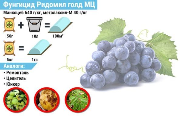 ridomil oro istruzioni + per l'uso