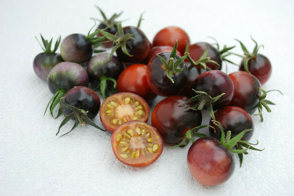 cherry tomato characteristics and description of the variety