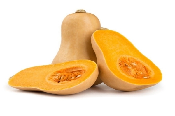 varietà di zucca