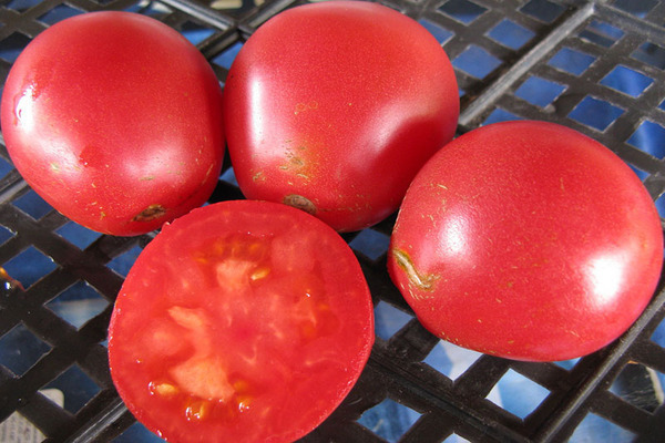 truffle tomato