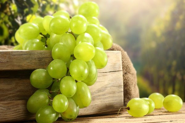 grape centenary variety description