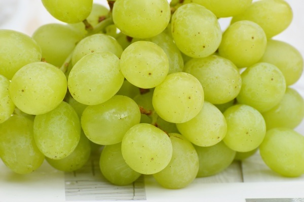 photo of grapes centenary