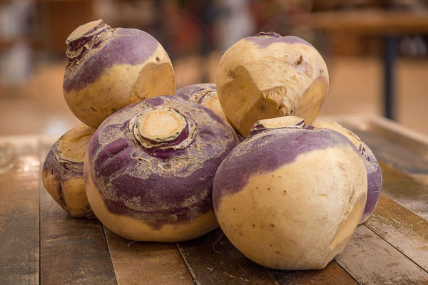 turnip or turnip