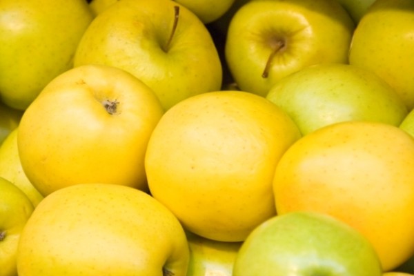 Golden Delicious variety