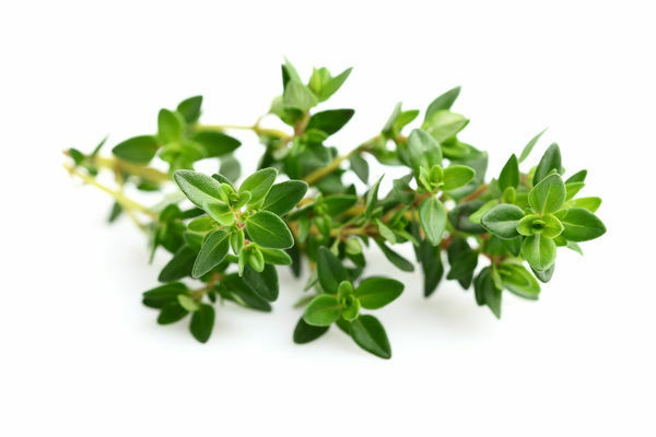 thyme care