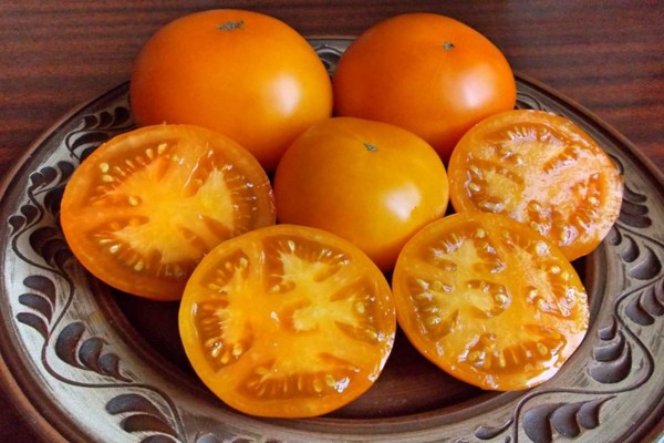 Pelbagai jenis tomato persimmon