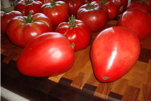 طماطم مازارين: الصورة