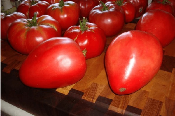 Tomate Mazarin: photo