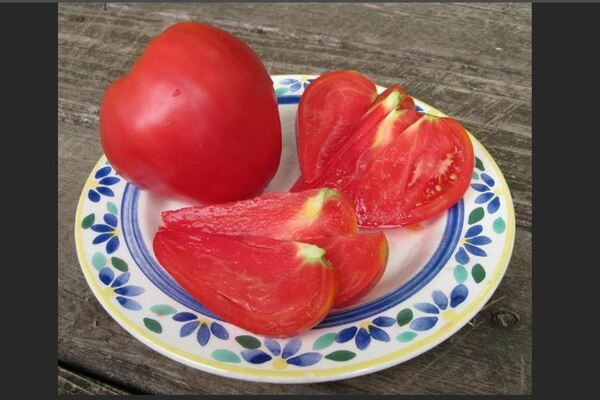 descrizione del pomodoro grande