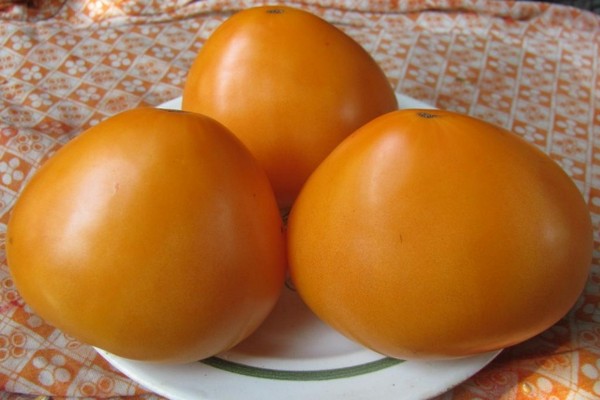 tomates jaunes + pour l'hiver