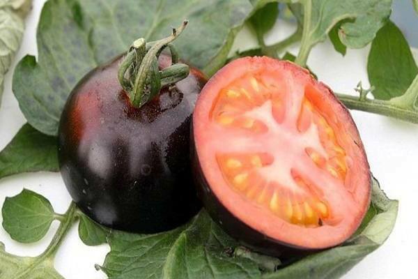 mô tả cà chua đen