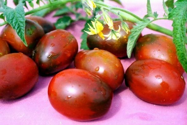 tomates de barao
