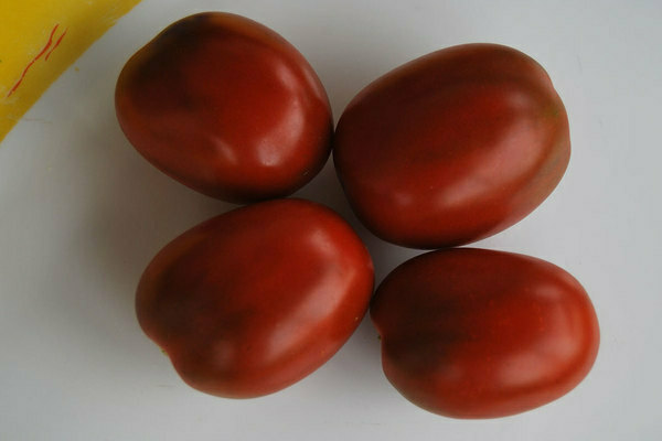 طماطم دي باراو