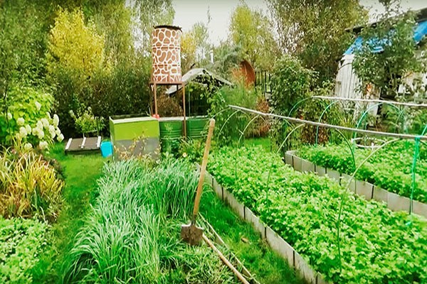 planter de l'engrais vert en automne