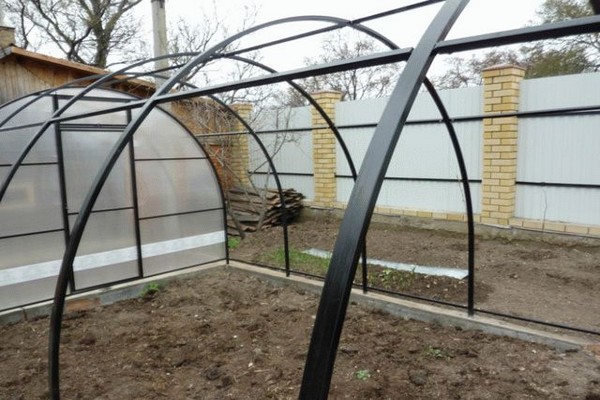 greenhouse + polycarbonate + do it yourself