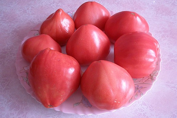 снимка на домати