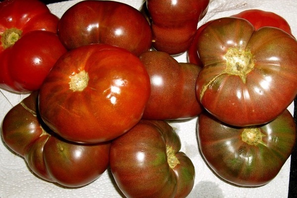 снимка шоколадови домати