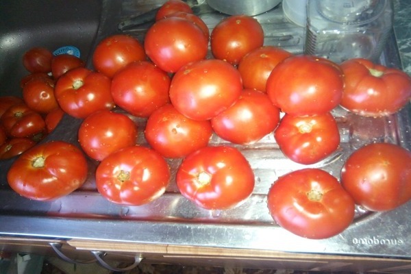 tomato besar ibu ulasan gambar