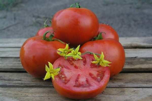 Pomodoro Mahitos