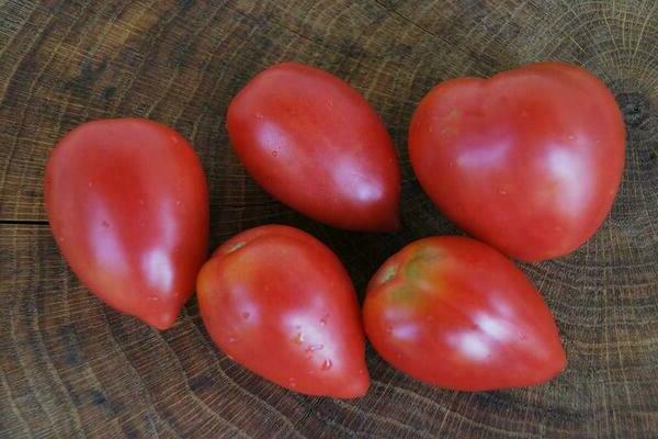 pink tomatoes
