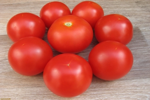 домати санка отзиви