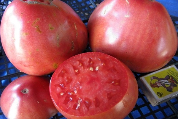 Sevryuga tomato