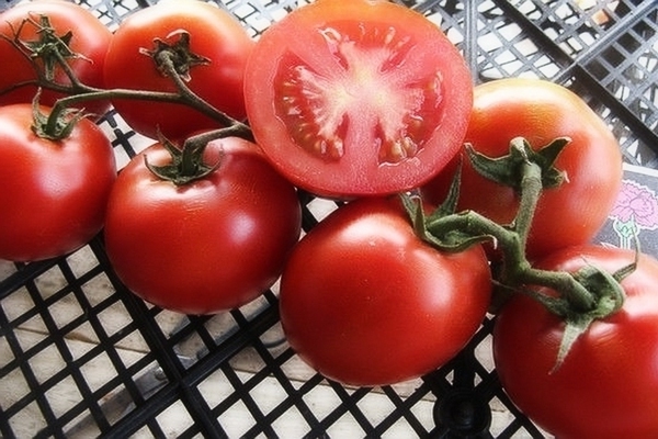 Teka-teki tomato