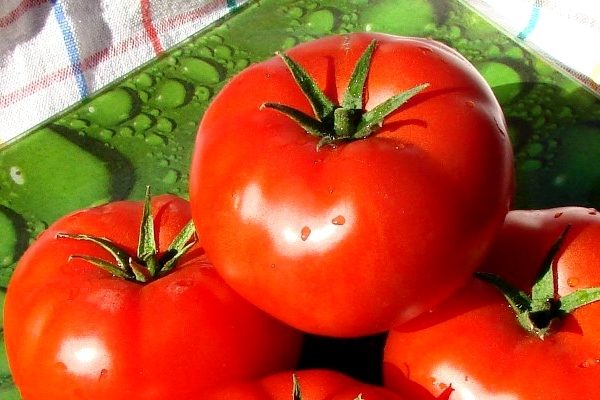 خصائص الطماطم فيروشكا