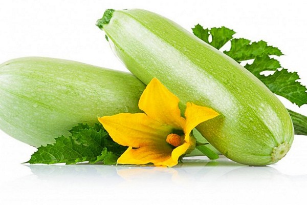 bitter zucchini