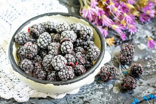 Mô tả nhiều loại blackberry cherokee
