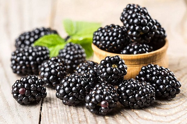 varieti blackberry