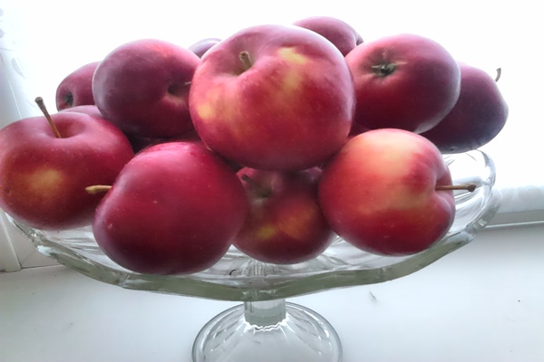 بيبين الزعفران ، وصف شجرة التفاح